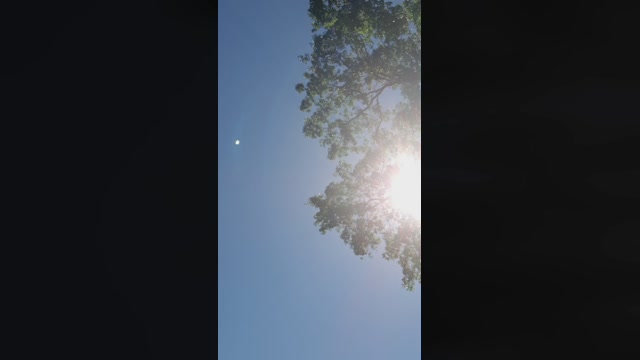 DickDrip  18-06-2022